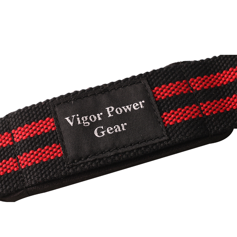 VPG-WL0424 (1)